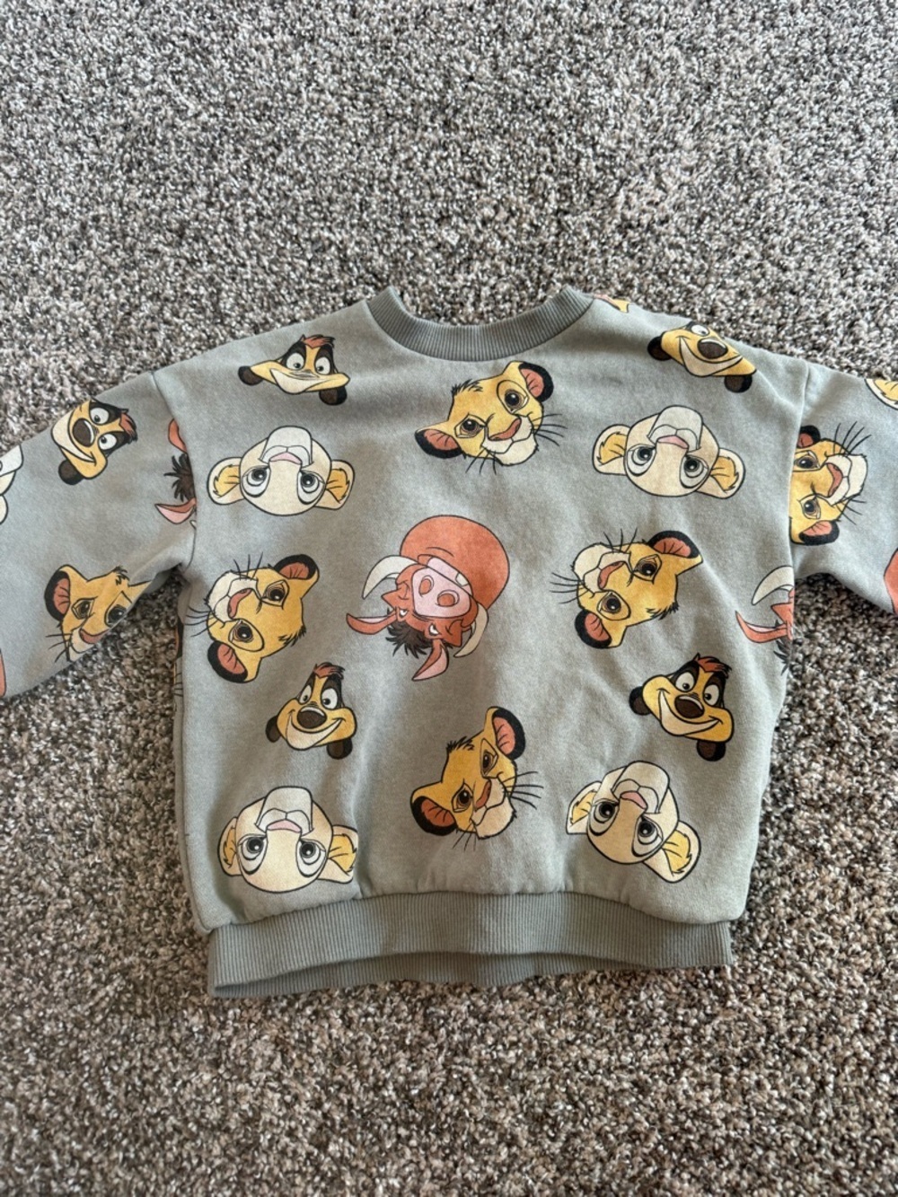 H&M Grey Lion King Print Kids Sweatshirt Size 12-18 Months